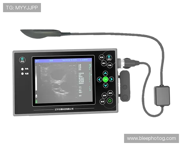 尊龙集团登录入口网站安全登录流程详解与常见问题解答